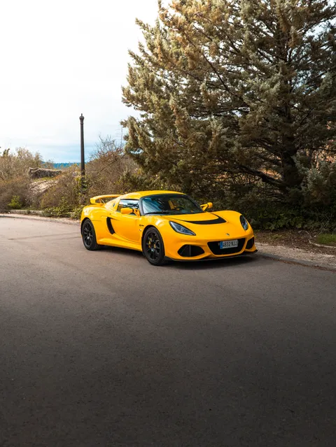 The Exige side-on at the roadside beneath a pine