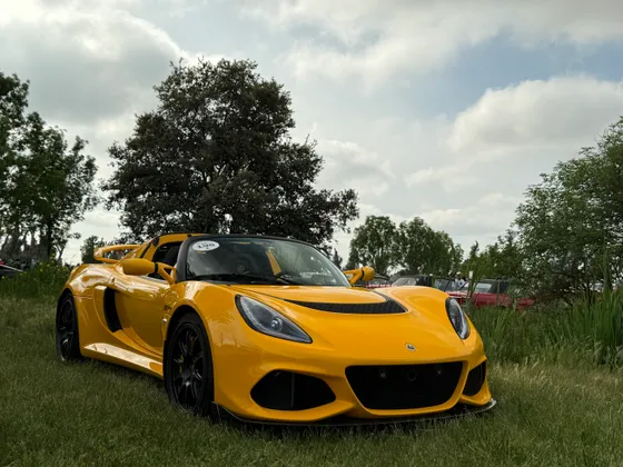 The Exige parked on grass under an oak